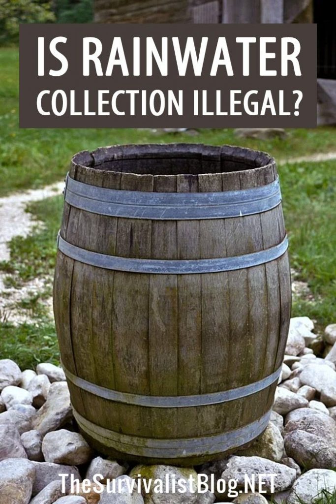 Is Rainwater Collection Illegal? Survival Fanatics
